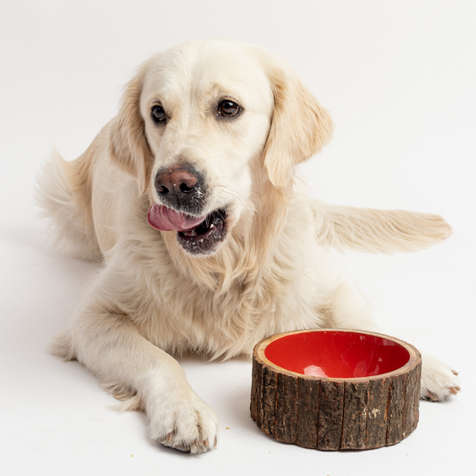 🐶 Farmhouse Wood Dog Bowl – BPA-Free, Non-Slip & Stylish Pet Dish
